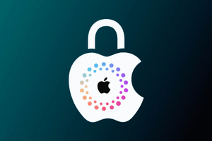 #215 Apple iPhone FMI ON/OFF & iCloud CLEAN/LOST Check Service - (IMEI/SN)