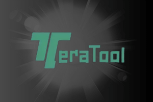 Tera Tool 12 Months Activation For 1 PC